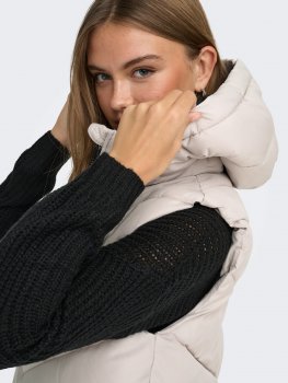 JDY - jdySkylar Hood Waistcoat