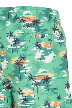 Blend - Badshorts 20718336 Palmer, Öar