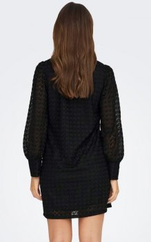 Jacqueline - jdyAvery LS Highneck Lace Dress