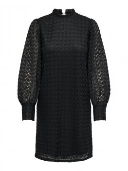 Jacqueline - jdyAvery LS Highneck Lace Dress