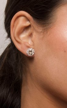 Lily and Rose - Miss Sofia Earrings