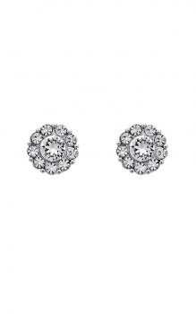 Lily and Rose - Petite Miss Sofia Earrings