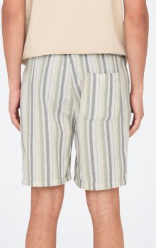 Only & Sons - onsTrev Stripe Shorts