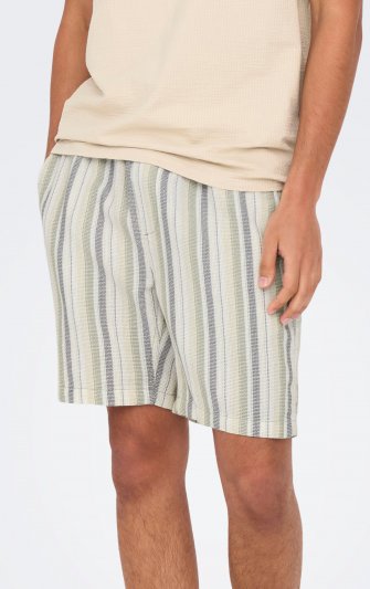 Only & Sons - onsTrev Stripe Shorts